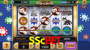 Live Casino SScbet